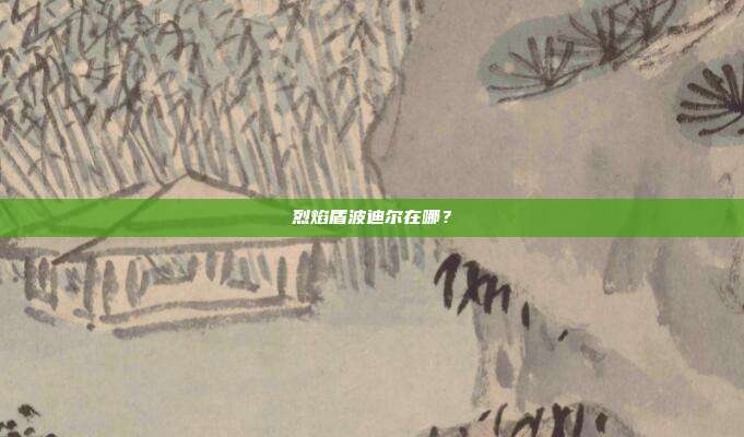 烈焰盾波迪尔在哪?