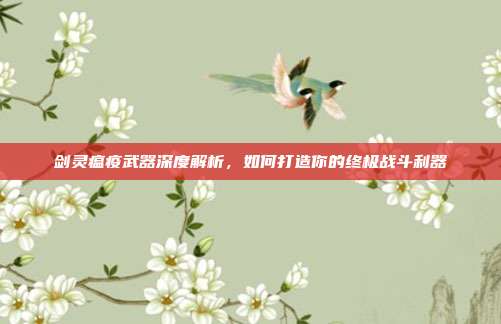 剑灵瘟疫武器深度解析,如何打造你的终极战斗利器