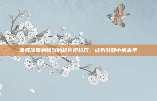掌握流星蝴蝶剑的枪连招技巧,成为游戏中的高手