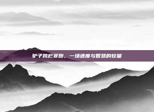 驴子跨栏赛跑,一场速度与智慧的较量
