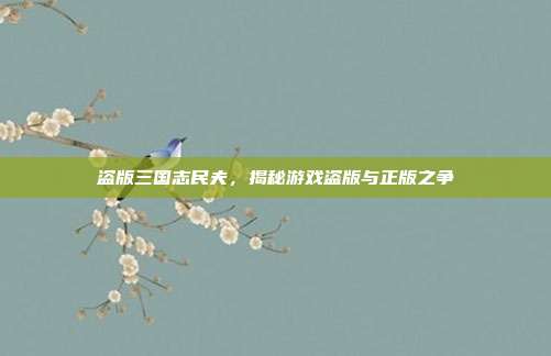 盗版三国志民夫,揭秘游戏盗版与正版之争