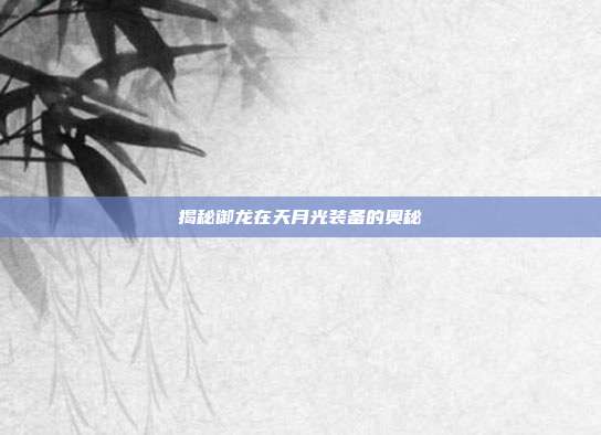 揭秘御龙在天月光装备的奥秘