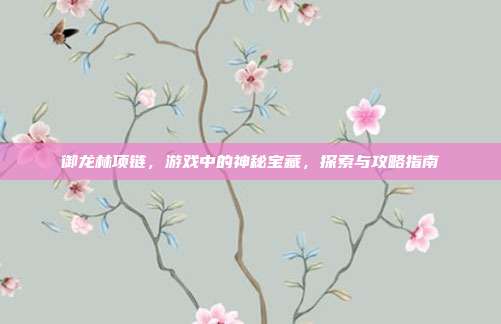 御龙林项链,游戏中的神秘宝藏,探索与攻略指南