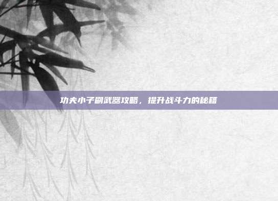 功夫小子刷武器攻略,提升战斗力的秘籍