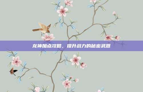 龙神加点攻略,提升战力的秘密武器