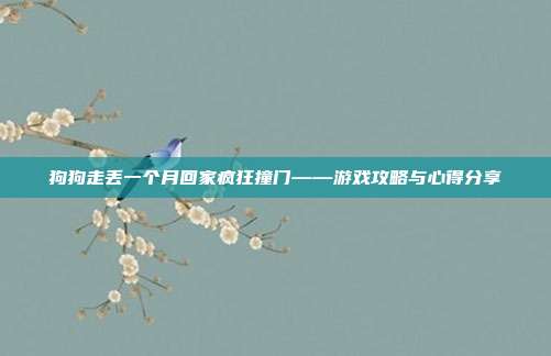 狗狗走丢一个月回家疯狂撞门——游戏攻略与心得分享