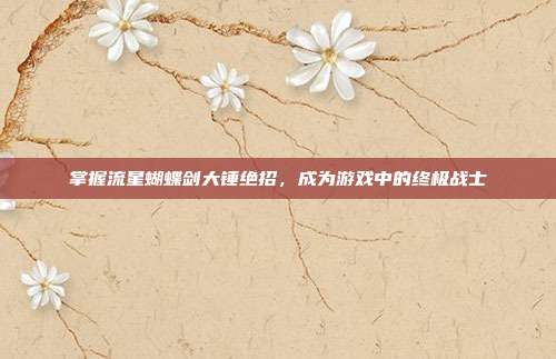 掌握流星蝴蝶剑大锤绝招,成为游戏中的终极战士
