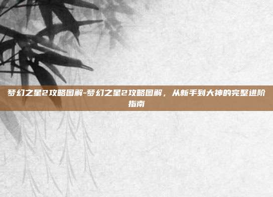 梦幻之星2攻略图解-梦幻之星2攻略图解，从新手到大神的完整进阶指南