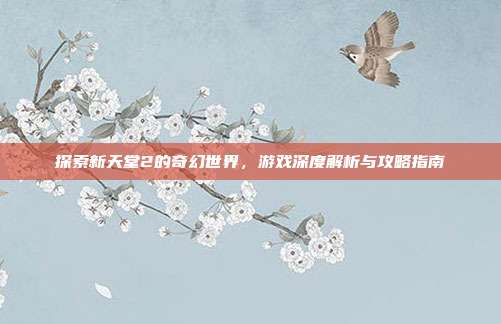 探索新天堂2的奇幻世界，游戏深度解析与攻略指南
