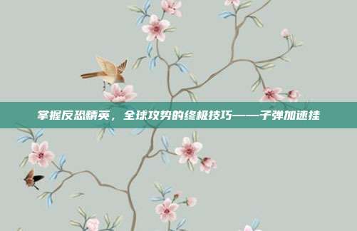 掌握反恐精英,全球攻势的终极技巧——子弹加速挂