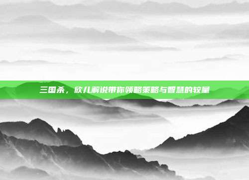 三国杀,欣儿解说带你领略策略与智慧的较量
