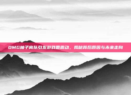 OMG柚子离队引发游戏圈震动,揭秘背后原因与未来走向