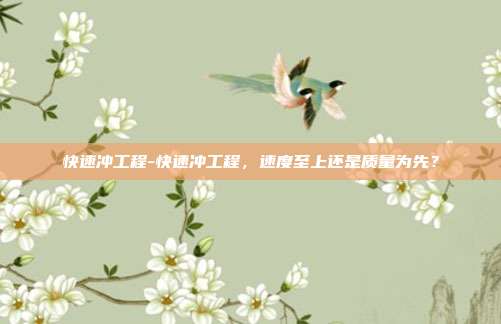 快速冲工程-快速冲工程，速度至上还是质量为先？