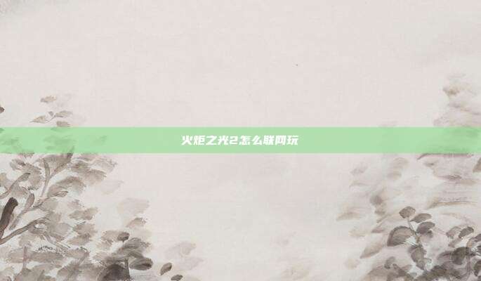 火炬之光2怎么联网玩