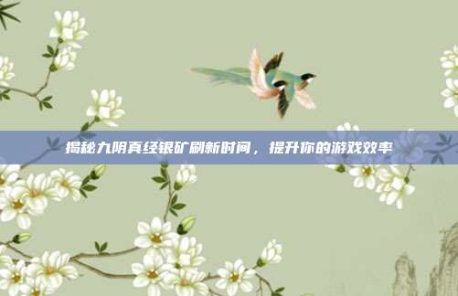 揭秘九阴真经银矿刷新时间,提升你的游戏效率