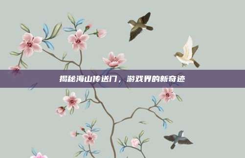 揭秘海山传送门,游戏界的新奇迹