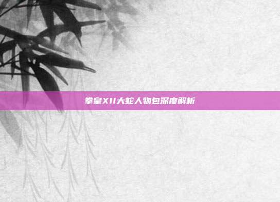 拳皇XII大蛇人物包深度解析