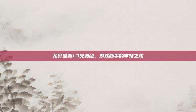 龙影辅助1.3免费版,游戏助手的革新之旅
