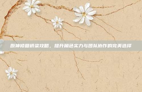原神修复桥梁攻略,提升角色实力与团队协作的完美选择