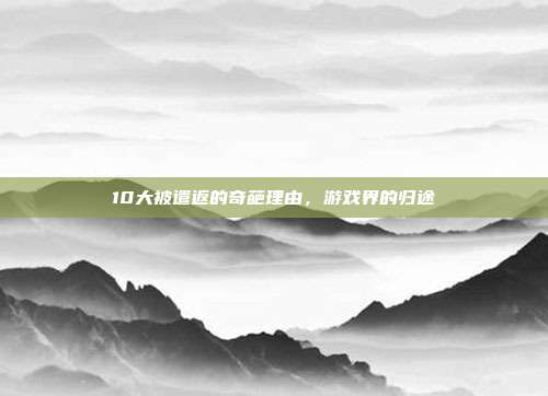 10大被遣返的奇葩理由,游戏界的归途