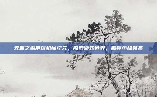 无翼之鸟尼尔机械纪元,探索游戏世界,解锁终极装备