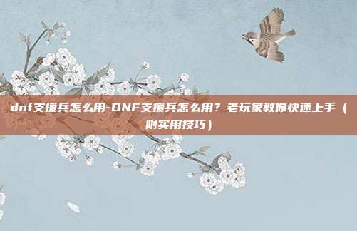 dnf支援兵怎么用-DNF支援兵怎么用？老玩家教你快速上手（附实用技巧）