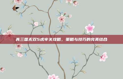 真三国无双5虎牢关攻略，策略与技巧的完美结合