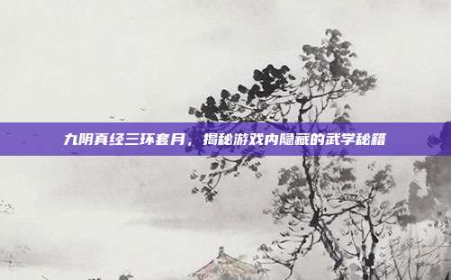 九阴真经三环套月,揭秘游戏内隐藏的武学秘籍