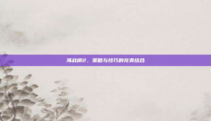 海战棋2,策略与技巧的完美结合