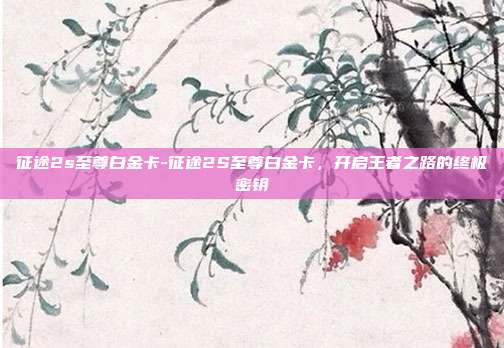 征途2s至尊白金卡-征途2S至尊白金卡，开启王者之路的终极密钥