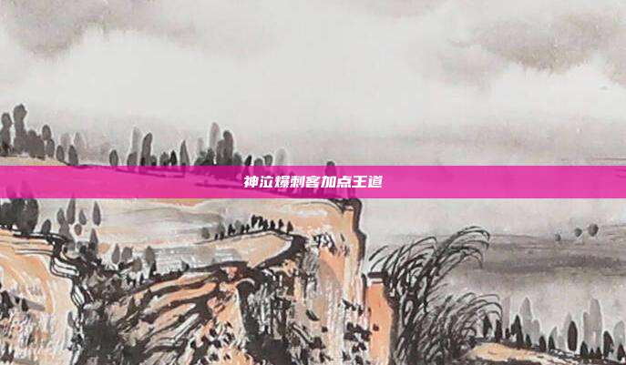神泣爆刺客加点王道