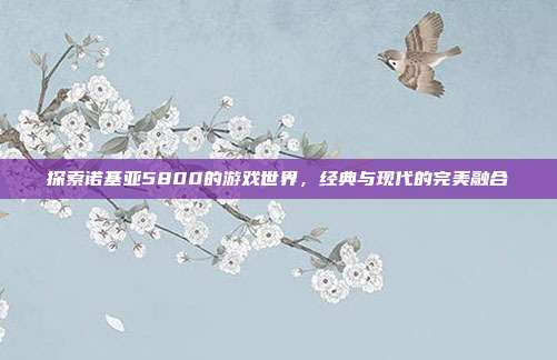 探索诺基亚5800的游戏世界,经典与现代的完美融合