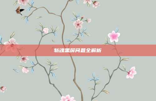 斩魂黑屏问题全解析
