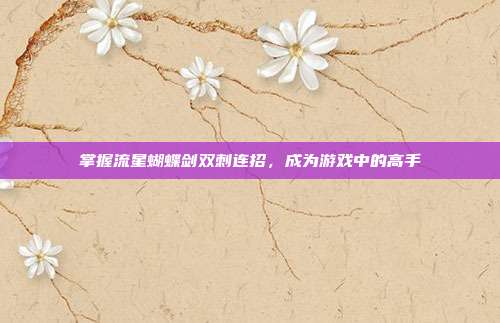 掌握流星蝴蝶剑双刺连招，成为游戏中的高手