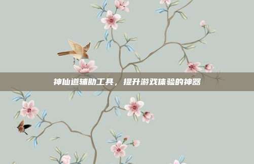 神仙道辅助工具,提升游戏体验的神器