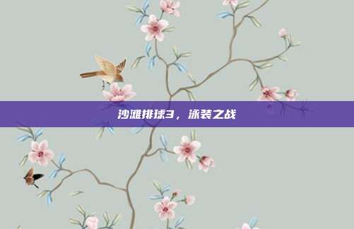 沙滩排球3,泳装之战