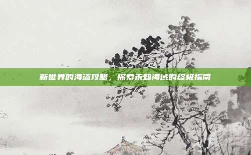新世界的海盗攻略，探索未知海域的终极指南