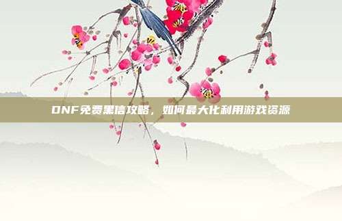 DNF免费黑信攻略，如何最大化利用游戏资源
