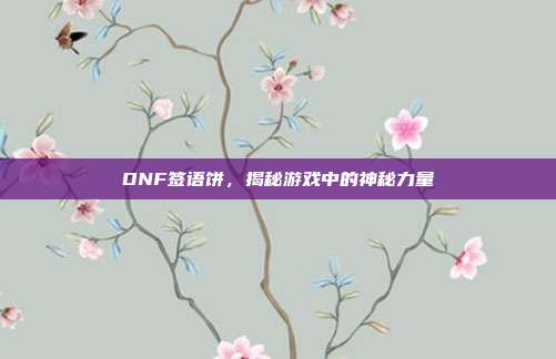 DNF签语饼,揭秘游戏中的神秘力量