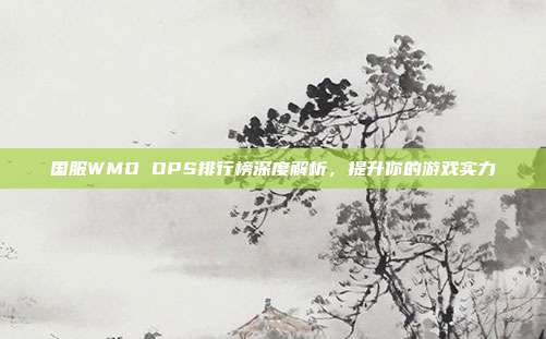 国服WMO DPS排行榜深度解析,提升你的游戏实力