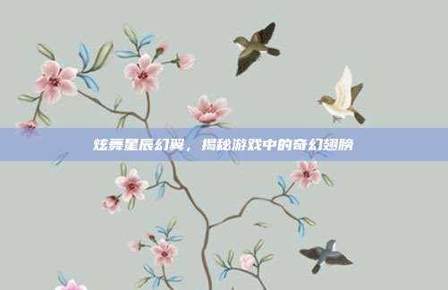 炫舞星辰幻翼,揭秘游戏中的奇幻翅膀