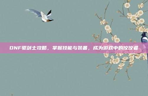 DNF驱剑士攻略,掌握技能与装备,成为游戏中的佼佼者