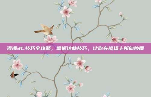 澄海3C技巧全攻略,掌握这些技巧,让你在战场上所向披靡