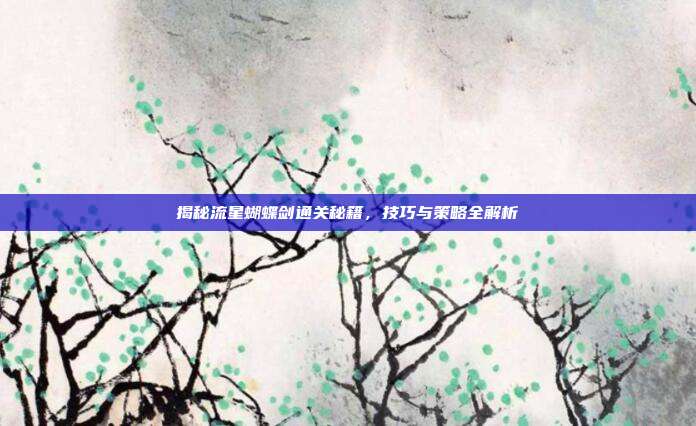 揭秘流星蝴蝶剑通关秘籍,技巧与策略全解析