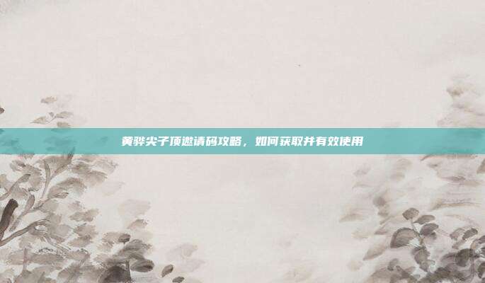 黄骅尖子顶邀请码攻略,如何获取并有效使用