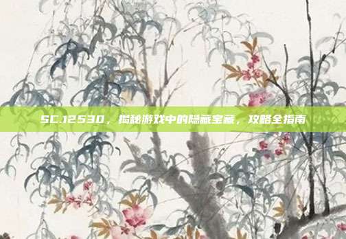 SC.12530,揭秘游戏中的隐藏宝藏,攻略全指南