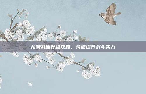 龙跃武器升级攻略，快速提升战斗实力
