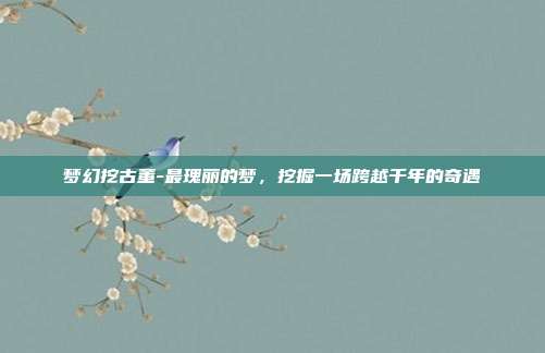 梦幻挖古董-最瑰丽的梦，挖掘一场跨越千年的奇遇