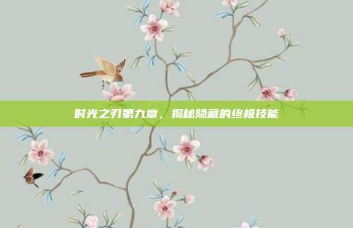 时光之刃第九章,揭秘隐藏的终极技能