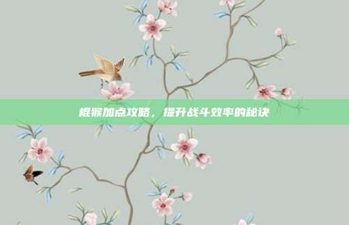 棍猴加点攻略,提升战斗效率的秘诀